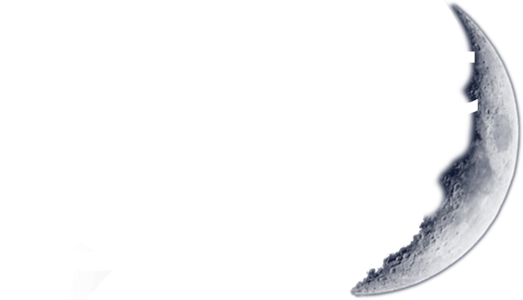 SleepOut logo