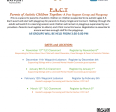 P.A.C.T Parents of Autistic Children Together: A Peer Support Group & Playgroup